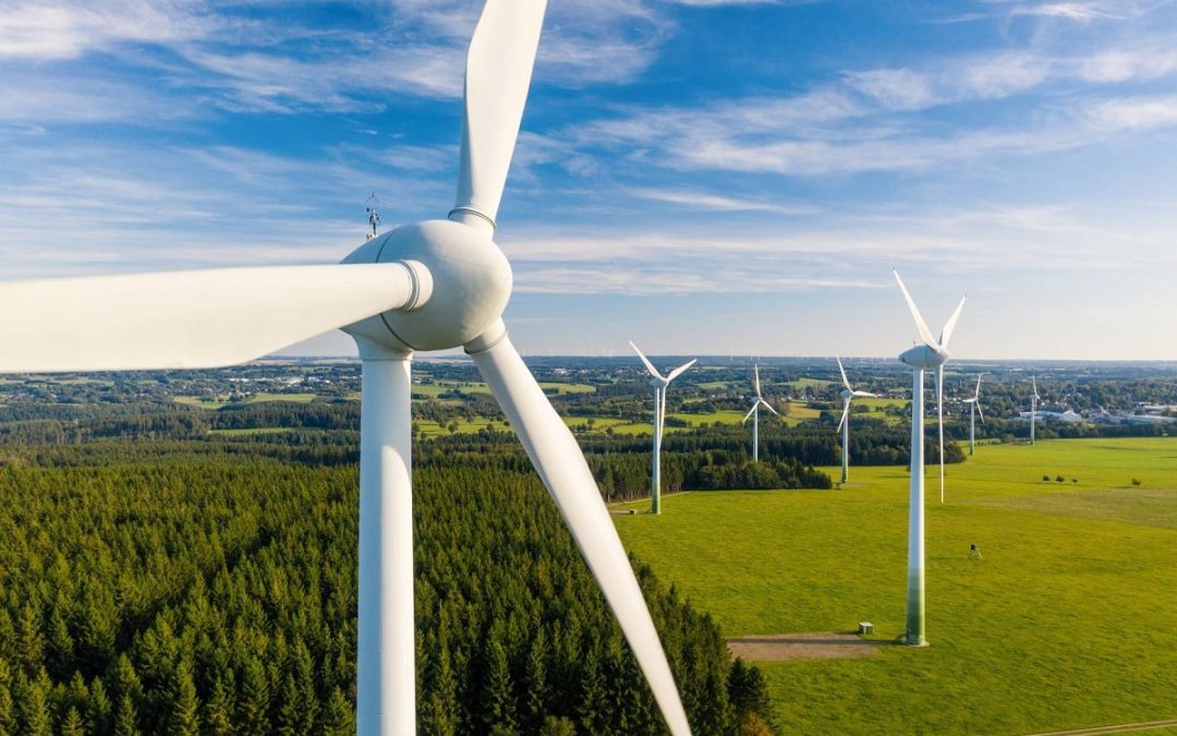 Wind farm turbines producing wind energy