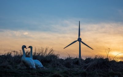 Local Initiatives Driving Onshore Wind Development in the UK